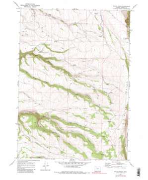 McCoy Ridge USGS topographic map 42118g6