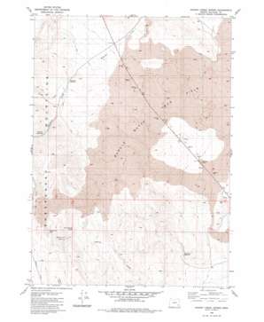 Johnny Creek Spring USGS topographic map 42118h1
