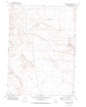 Surveyors Lake topo map