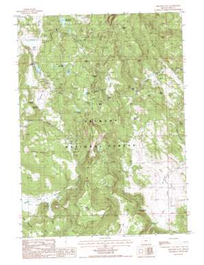 Arkansas Flat topo map