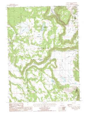 Barnes Valley USGS topographic map 42120b8