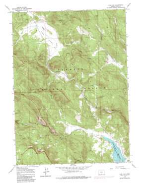 Cox Flat topo map