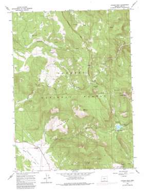 Cougar Peak topo map