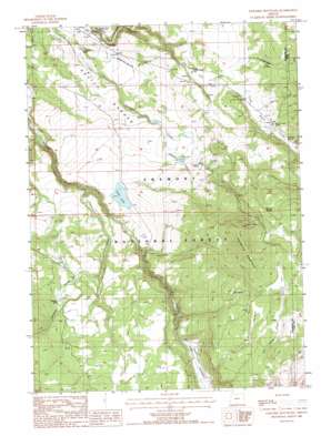 Paradise Mountain USGS topographic map 42120c8