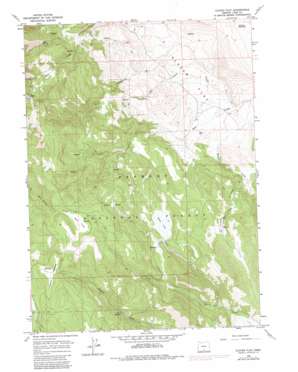 Clover Flat USGS topographic map 42120d4