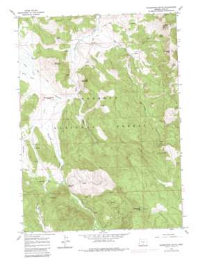 Shoestring Butte topo map