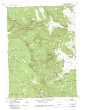 Coleman Point topo map