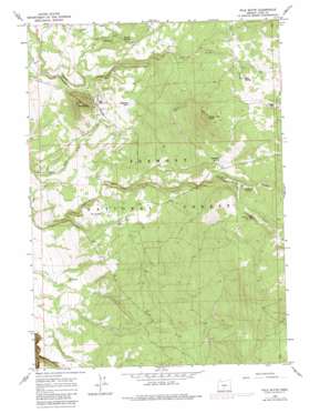 Pole Butte topo map