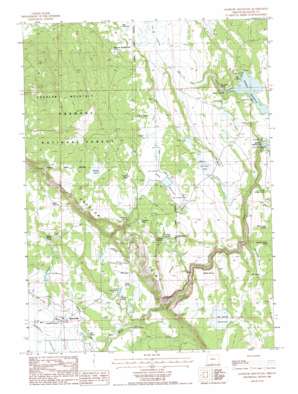 Goodlow Mountain USGS topographic map 42121b2