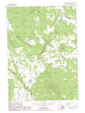 Horsefly Mountain USGS topographic map 42121c1