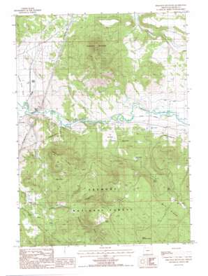 Ferguson Mountain topo map