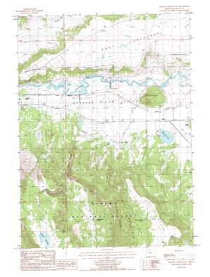 Sprague River East USGS topographic map 42121d4