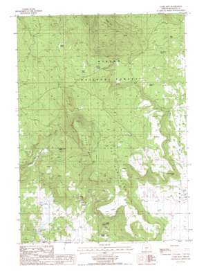 Cooks Mountain USGS topographic map 42121e4