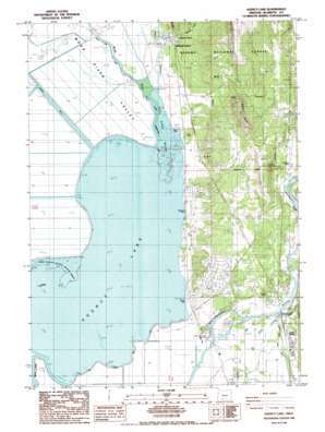 Agency Lake USGS topographic map 42121e8