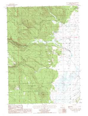 Sycan Marsh West topo map