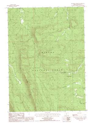Buckhorn Springs USGS topographic map 42121g5