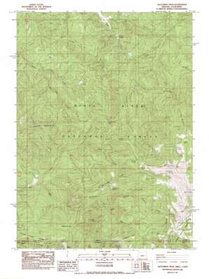 Dutchman Peak USGS topographic map 42122a8