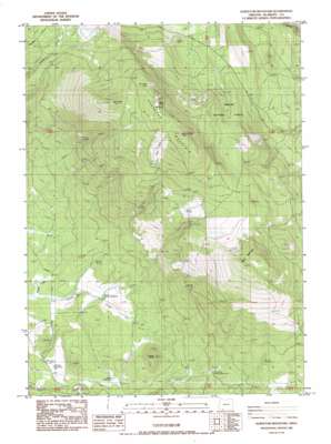 Surveyor Mountain USGS topographic map 42122b2