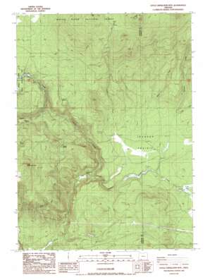 Surveyor Mountain USGS topographic map 42122b3