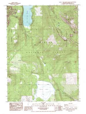 Lake Of The Woods South topo map
