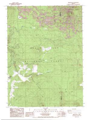 Brown Mountain USGS topographic map 42122c3