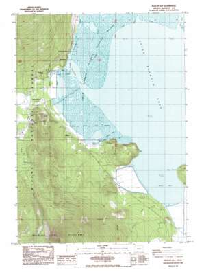 Pelican Bay USGS topographic map 42122d1