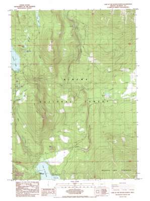 Lake Of The Woods North topo map