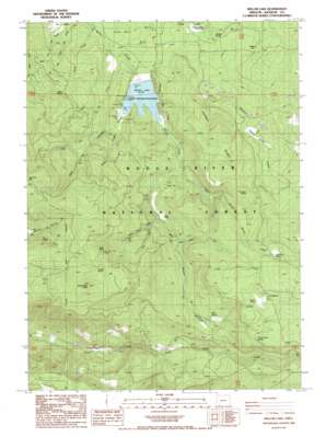 Willow Lake USGS topographic map 42122d4