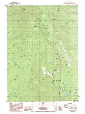 Pelican Butte USGS topographic map 42122e3