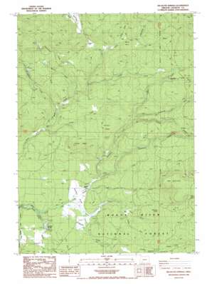 Big Butte Springs topo map