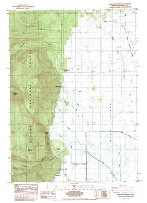 Mares Egg Spring USGS topographic map 42122f1