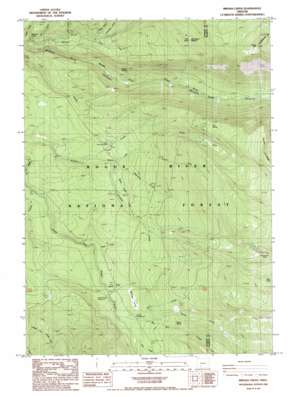 Imnaha Creek USGS topographic map 42122f3