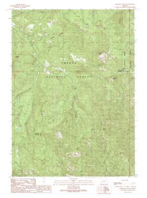 Ragsdale Butte topo map