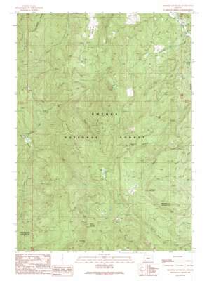 Richter Mountain USGS topographic map 42122g8