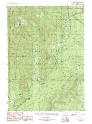 Union Creek topo map