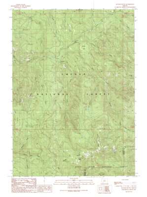 Butler Butte USGS topographic map 42122h6