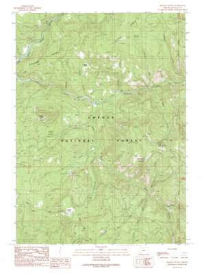 Pickett Butte topo map