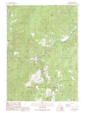 Tiller USGS topographic map 42122h8