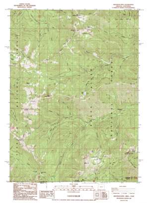 Grayback Mountain USGS topographic map 42123a3