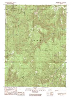 Buckskin Peak USGS topographic map 42123a7