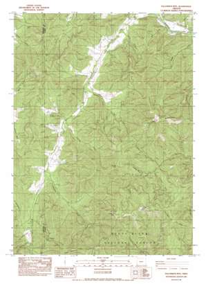 Tallowbox Mountain USGS topographic map 42123b2