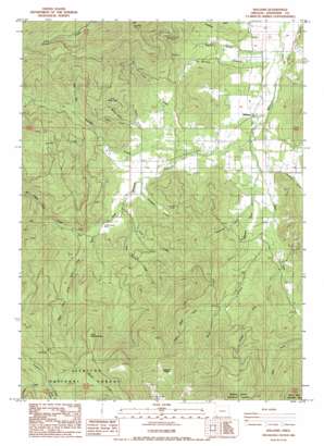 Williams USGS topographic map 42123b3