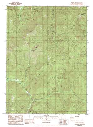 Kerby Peak USGS topographic map 42123b4