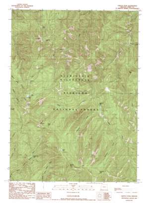 Chetco Peak USGS topographic map 42123b8