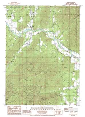 Murphy USGS topographic map 42123c3