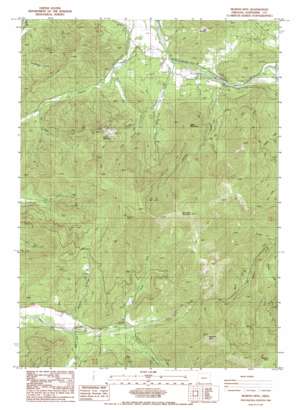 Murphy Mountain USGS topographic map 42123c4