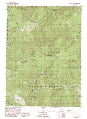 Silver Peak topo map