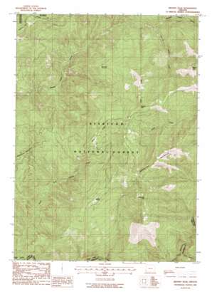 Brandy Peak topo map