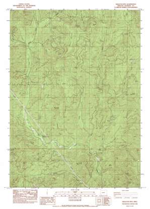 Skeleton Mountain topo map