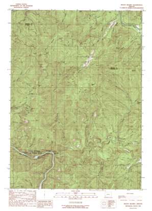 Mount Reuben topo map